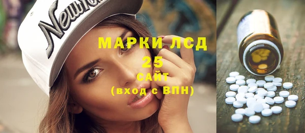 бошки Пересвет