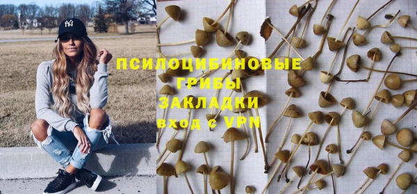 прущие крисы Абинск