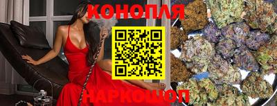 стафф Донской