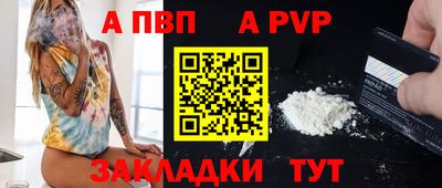 стафф Донской
