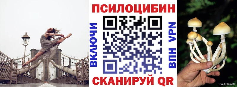 Галлюциногенные грибы Psilocybe купить наркотик Россошь